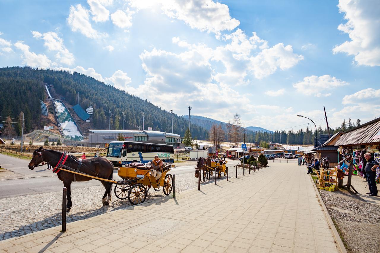 Rent Like Home - Droga Na Bystre Zakopane Eksteriør billede
