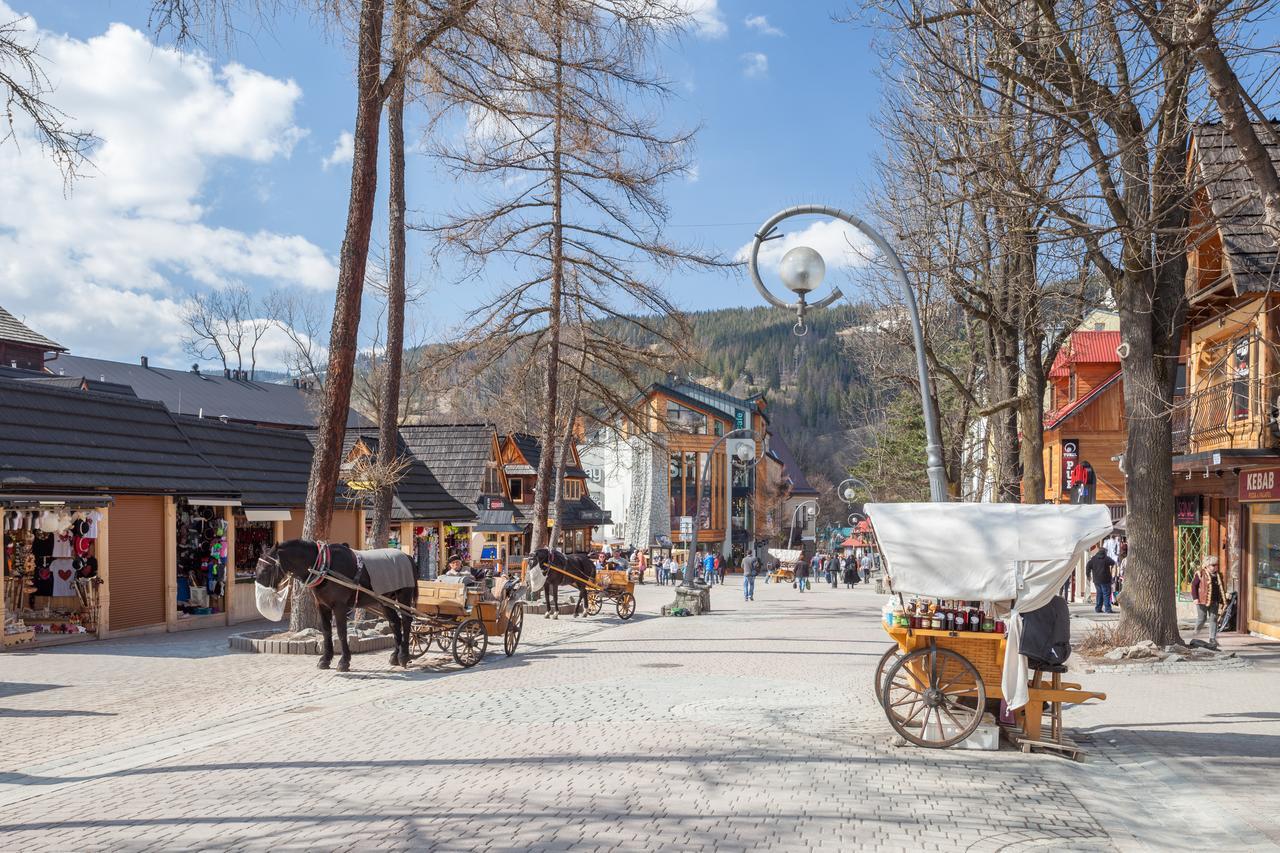 Rent Like Home - Droga Na Bystre Zakopane Eksteriør billede
